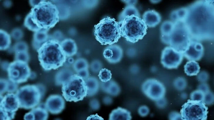 herpes