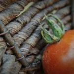 chiar-si-gradinarii-de-legume-cu-experienta-nu-stiu-despre.webp.webp