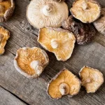 Principala greșeală în uscarea ciupercilor care formează mucegaiuri principala-greseala-in-uscarea-ciupercilor-care-formeaza-mucegaiuri.webp.webp